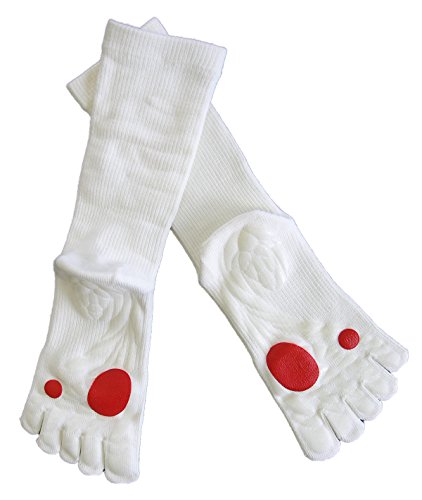 [Kbc}] St̂߂̊Ȃܖ{w\bNXi23-25j Stp ip ~ ܖ{wC X|[c g[jO TCY (ItzCg)