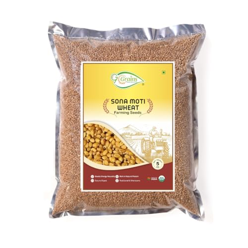 Image of Organic Sonamoti Wheat Grains Seeds (5Kgs) | For Farming, Sowing & Agriculture Use | Produce of India | 100% Natural & Non-GMO | By G7 Grains