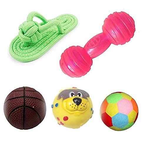 PSK PET MART Squeaky, Chew Teether Toys for Dog/Puppy - Squeaky Basketball + Rope Slipper + Squeaky Puppy Face Ball + Rattle Ball + Squeaky Red Dumbbell - Combo of 5 (B09FQ7C114) Amazon Price History, Amazon Price Tracker