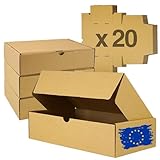 Boite Cadeau Carton 20Pcs | Petite Boite Carton | Boite Expedition Cartons | Emballage Cadeau Boite | Petit Carton pour Colis| Lot de Boite Cadeau | Boites Cadeaux Cartons | Packaging Box 25x16x7cm