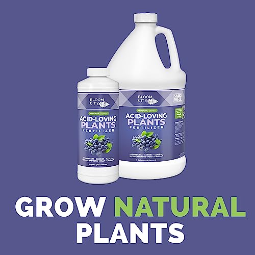 Bloom City\'s Acid-Loving Plant Fertilizer - Soil Acidifier - Perfect Acidic Fertilizer as a Blueberry Fertilizer or Any Acid Loving Plants, Quart (32 oz)
