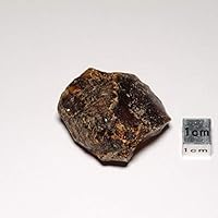 Amazon | [N2 stone Natural] 天然化石 青色蛍光 - 琥珀 (ブルー