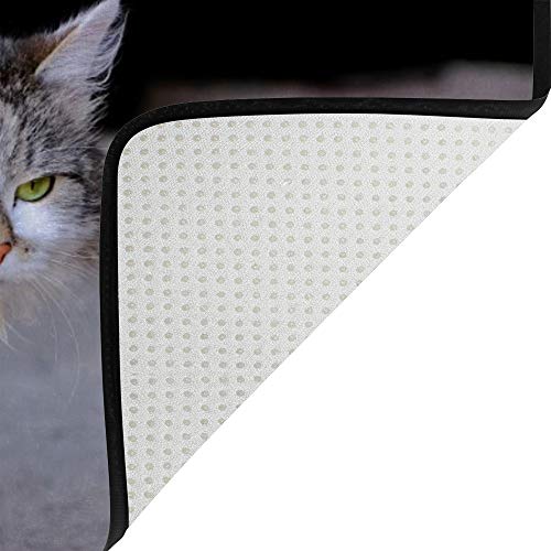 Tapis de salon en fourrure pour chat en velours corail Ruchen 152x99 cm - 5