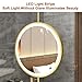 Round Ceiling Hanging Floating Mirror Bathroom Mirror with LED Light, Suitable for Home Or Hotel Bathroom Vanity Mirror(Black,60x60cm)