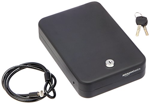 Amazon Basics - Tragbare Sicherheitsbox mit Steckschloss, Größe L