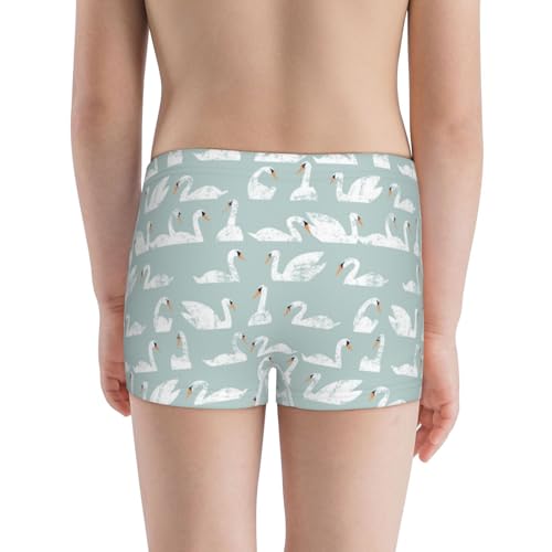 Boys' Cotton Boxer Brief Soft Underwear-White Swan3