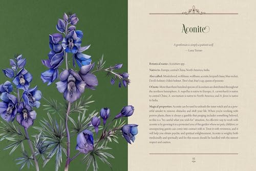 Image of Enchanted Plants: A Treasury of Botanical Folklore and Magic