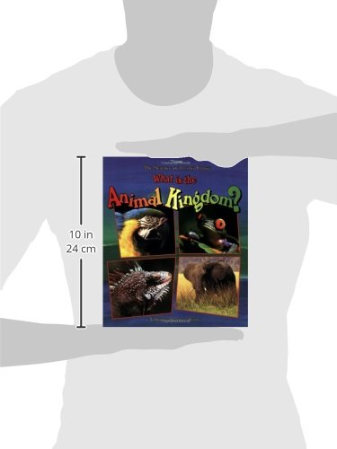 What Is the Animal Kingdom? (Science of Living Things) - Image 2