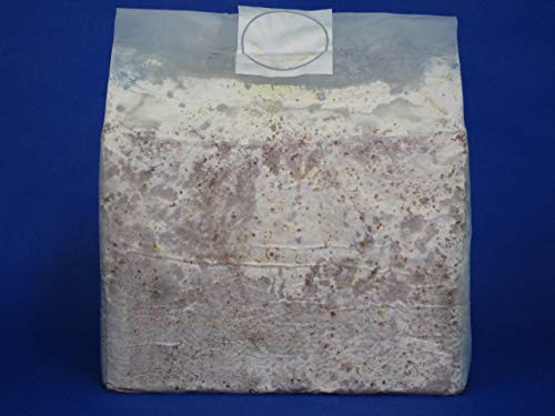 nymotherzێubN IIq^P`^Cv q RCUk×2Zbg i悭ǂ݂̏AB