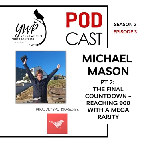 Page de couverture de YWP Podcast Season 3 Episode 3 - The Final Flight to 900: A Macaroni Penguin and a Birding Legacy