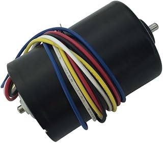 EdricShop DC Motor Brushless DC Motor 12V 24V Mini Motor DC 3000Rpm 6000Rpm Reversed Built-In Driver High Speed High Torque