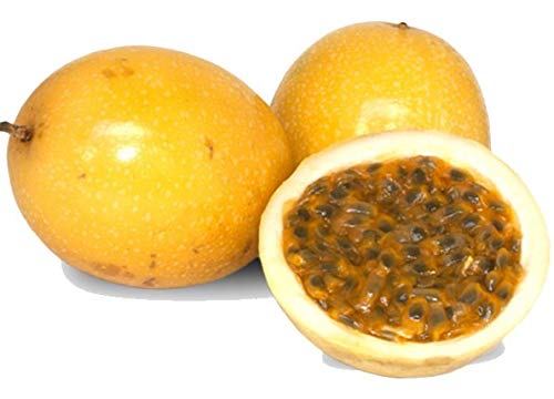 Creative Farmer Passion Fruit Yellow Flavicarpa Variety Garden Plant(1 Healthy Live Plant) (B07YYBPT4P) Amazon Price History, Amazon Price Tracker