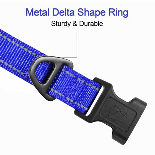 image for Joytale Reflective Dog Collar, Soft Neoprene Padded, Metal D-Ring, Nyl