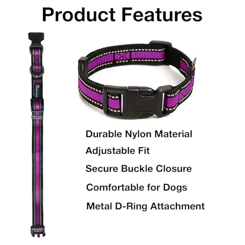 Image of Reflective Adjustable Pet Collar for Dogs and Cats - Durable Nylon Strap with Heavy-Duty Buckle | Comfortable and Safe for Walking and Training in Multiple Colors & Sizes (Purple, Small)