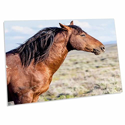 3dRose USA Colorado Sand Wash Basin Desk Pad