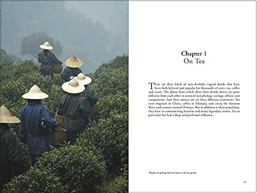 Tea Therapy: Natural Remedies Using Traditional Chinese Medicine