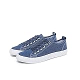 Canvas Shoes for Women Casual Low Top Sneakers Fashion Womens Tennis Shoes with Extra Laces, Denim, Size 10