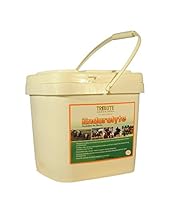 Algopix Similar Product 13 - Kalmbach Feeds Endurolyte Electrolyte
