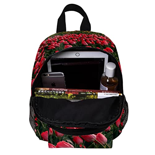 Sac à dos pour garçons et filles compact de 30,5 cm bleu multicolore