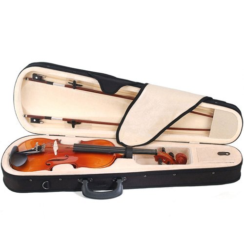 Cecilio 4/4 Full-Size Left-Handed Violin, Solid Spruce Top & Maple Body Professional Fiddle Set Includes Hard Case, 2 Bows, Rosin, Bridges & Extra Strings