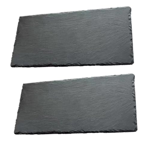 Platos para sushi aislados negros Alipis 2 piezas miniatura 1