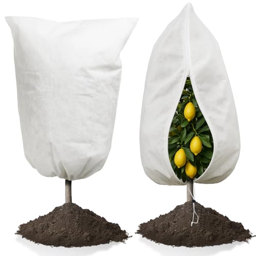 KINGLAKE 60X80cm Voile Hivernage Plante Exterieur - 2 PSC 70g/m² Housses d'hivernage de Protection, Toile Sac Hiver avec Fermeture à Glissière et Cordon de Serrage, pour Olivier Citronnier