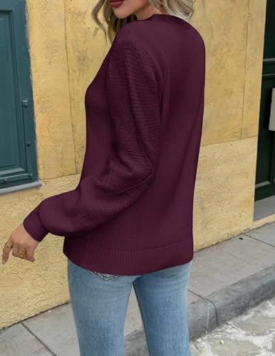 Zeagoo Womens 2025 Fall Sweaters Lightweight Long Sleeve Ribbed Knit Crewneck Pullover Tops Crochet Casual Outfits S-XXL3