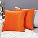 Deconovo Set da 2 Federe Cuscini 55x55 CM per Divano Camera da Letto, Fodere Moderne Morbido Resistente, in Velluto, con la Cerniera Invisibile, Arancione
