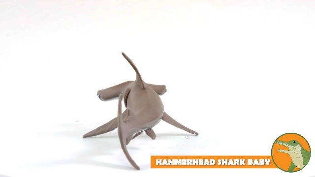 Amazon.com: Safari Ltd. Baby Hammerhead Shark Figurine - Detailed