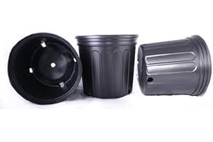 Seed Kingdom 12 Pack 3 Gallon Trade Pots