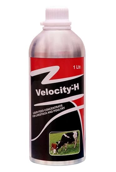Pharma Velocity-H Veterinary Feed Supplement for Cow Cattle Poultry & Livestock Animals 1 Liter