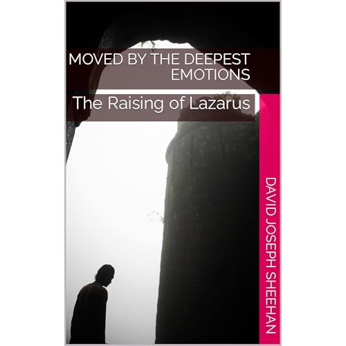 Moved by the Deepest Emotions by DAVID JOSEPH SHEEHAN episode artwork