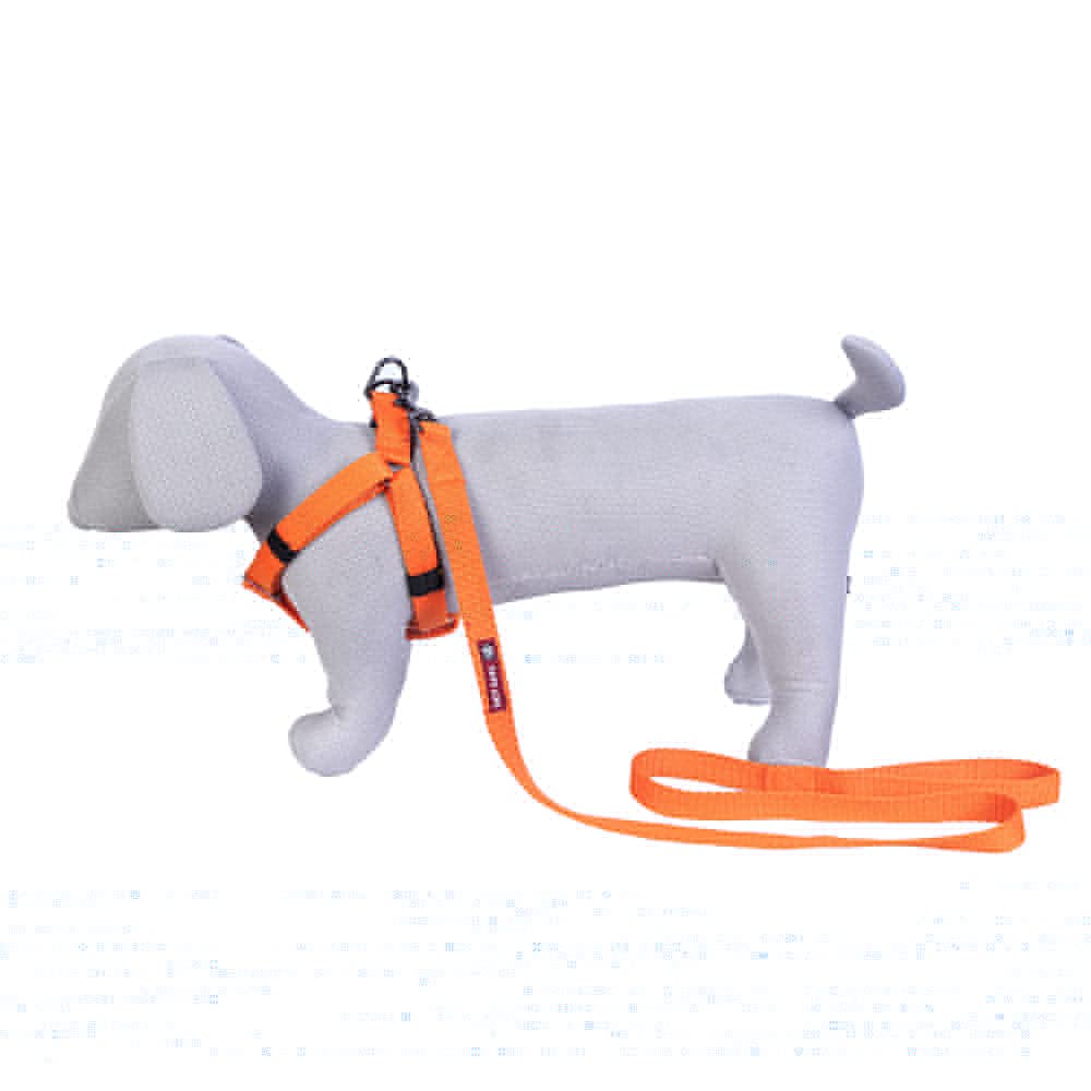 Pets Like Spun Poly V Harness with Leash Set Orange (Medium) (B09D3CG7Q1) Amazon Price History, Amazon Price Tracker