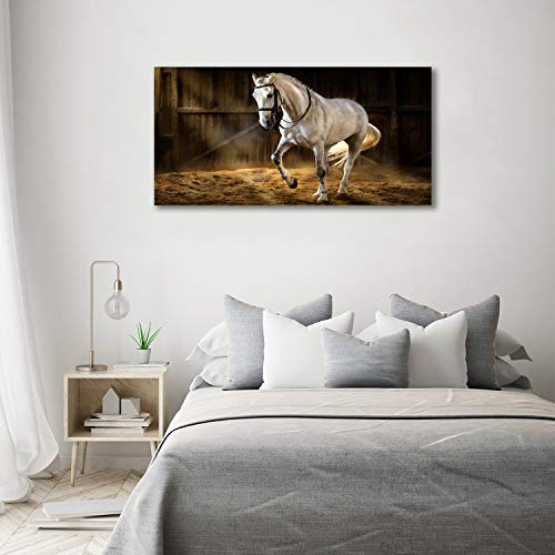 Tableau plexiglas incassable Animaux Caballo Blanco évite les reflets ternes