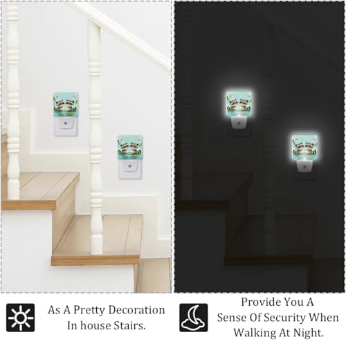Image of NEWzone Raccoons Night Light Set of 2, Auto Sensor LED Dusk-to-Dawn Nightlights, Plug-in Sensor Lamp for Bedroom Bathroom Kitchen Hallway Stairs Decorative