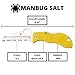 Spyderco Manbug Salt Folding Pocket Knife with 1.9