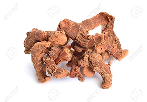 Maven & Bloom Original Galangal from Thailand - Dried - Nature's Best Gift (50g)