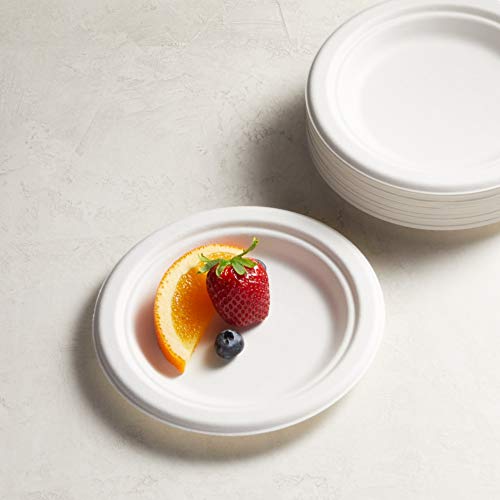 Amazon Basics Compostable Plates, 6-Inches, 125 Count #TOP3