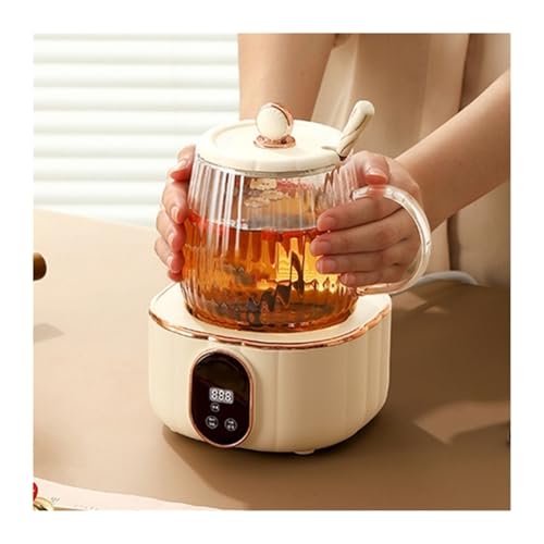 Tetera eléctrica de vidrio multifuncional 600ml miniatura 3