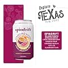 Spindrift 20- Pack of Island Punch Passion Fruit-Orange-Guava Sparkling Water & Real Squeezed Fruit 12 fl oz Can