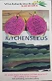 Purple Dragon Fruit Cutting Plant Easy Growing Juicy,American Beauty Variety (Hylocereus guatemalensis) by Viablekitchenseeds