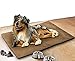 Schwar Textilien Kühlmatte für Haustiere Kühldecke Kühlkissen Auto Zuhause Hund Katze 70x100 cm (braun)