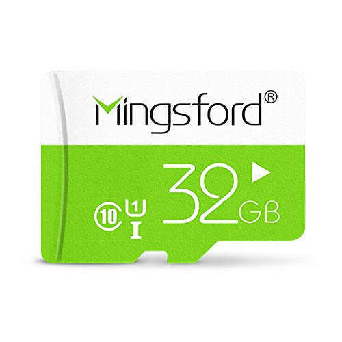 Saras Mingsford Colorful Edition 32GB�N���X10 TF�������J�[�h