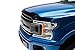 Auto Ventshade [AVS] Aeroskin Hood Protector for 2021-2023 Ford F-150, Low Profile-Smoke, 1 pc. | 322196