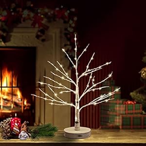 Lighted Birch Tree with 80 Warm White LED Battery/USB Operated Led Christmas Tabletop Tree Money Tree for Christmas…