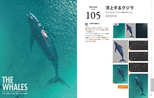 Photoshopで背景を透過した画像をIllustratorに配置する方法