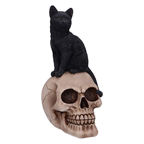 Nemesis Now Familiar Fate - figura de gato e caveira (24,3 cm), design de bruxas pretas