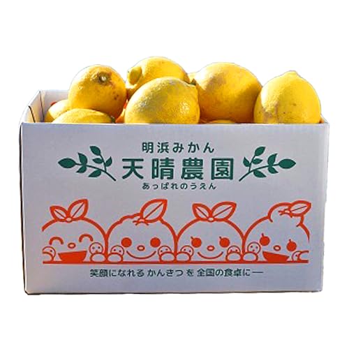 天晴レモン ご家庭用 約1.5kg/2kg/3kg/5kg 愛媛県 西予市 (約1.5kg)