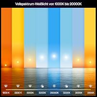 Philips Hue Smart LED A60 Lampe, White Ambiance, LED Leuchtmittel mit E27 Fassung, 8,1W, Vollspektrumlicht 1000K-20000K, 1600 Lumen, dimmbar, smartes Licht kompatibel mit Sprachassistenten, 2er Pack – Ansicht 2