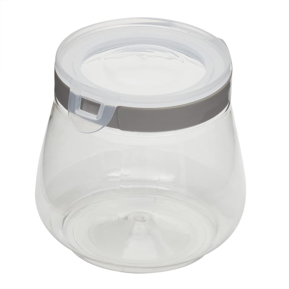 Home Basics 37 oz. Plastic Flip Top Container, Clear | Great for Snacks | Secure Top